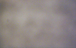 Ski Areál Opálená