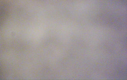 Ski Areál Opálená