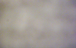 Ski Areál Opálená