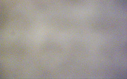 Ski Areál Opálená