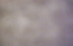 Ski Areál Opálená