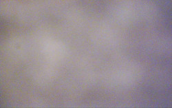 Ski Areál Opálená