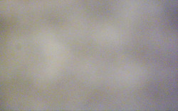 Ski Areál Opálená