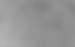 Ski Areál Opálená