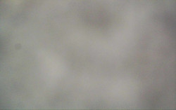 Ski Areál Opálená