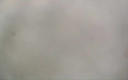 Ski Areál Opálená