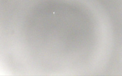 Ski Areál Opálená