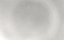 Ski Areál Opálená