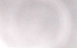 Ski Areál Opálená