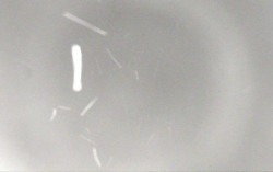 Ski Areál Opálená