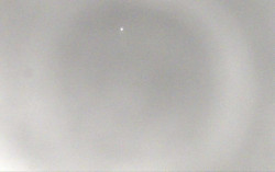 Ski Areál Opálená