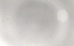 Ski Areál Opálená