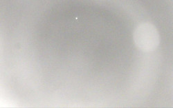 Ski Areál Opálená