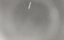 Ski Areál Opálená