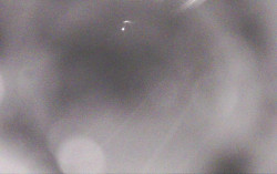 Ski Areál Opálená