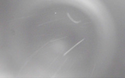 Ski Areál Opálená