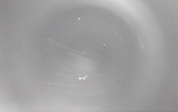 Ski Areál Opálená