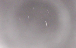 Ski Areál Opálená