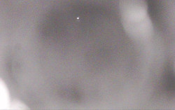 Ski Areál Opálená