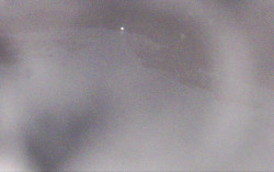 Ski Areál Opálená