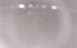 Ski Areál Opálená