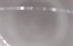 Ski Areál Opálená