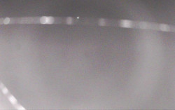 Ski Areál Opálená