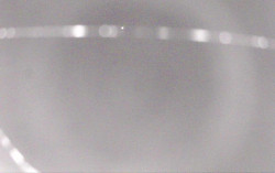 Ski Areál Opálená