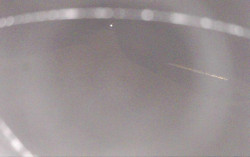 Ski Areál Opálená