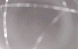 Ski Areál Opálená