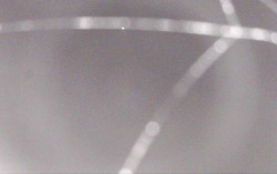 Ski Areál Opálená