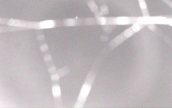 Ski Areál Opálená