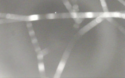 Ski Areál Opálená