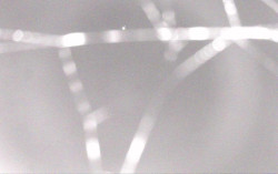 Ski Areál Opálená