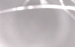 Ski Areál Opálená