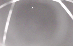 Ski Areál Opálená