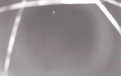 Ski Areál Opálená