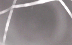 Ski Areál Opálená