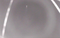 Ski Areál Opálená