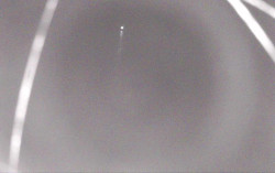 Ski Areál Opálená