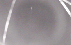 Ski Areál Opálená