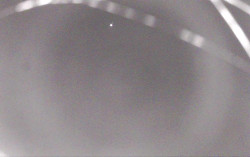 Ski Areál Opálená