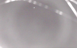 Ski Areál Opálená