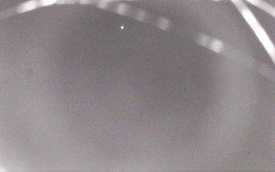 Ski Areál Opálená