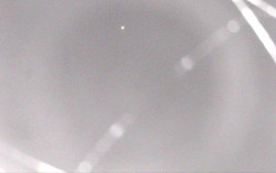 Ski Areál Opálená