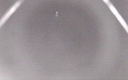 Ski Areál Opálená