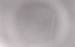 Ski Areál Opálená