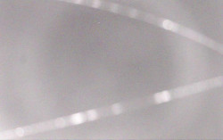 Ski Areál Opálená