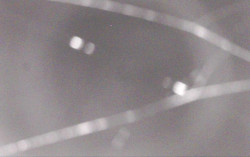 Ski Areál Opálená