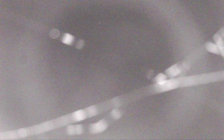 Ski Areál Opálená